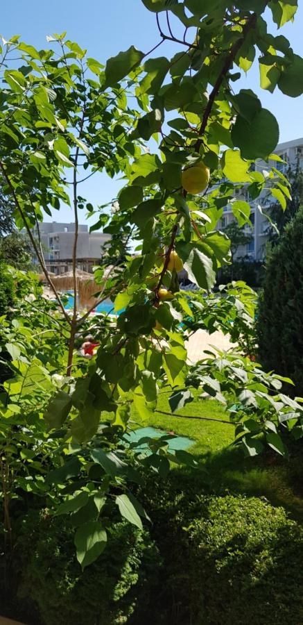 Apartment With Green Terrace Burgas Exterior foto